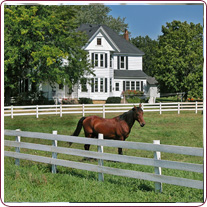 horse in front of farmhouse 