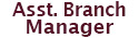 Assistant Branch Manager icon