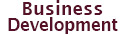 Business Development icon