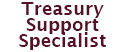 Treasury Solutions icon